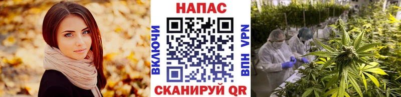 Какие есть наркотики Осташков Кокаин Бошки Шишки Мефедрон A-PVP Амфетамин ГАШИШ