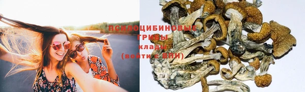 кокс Армянск