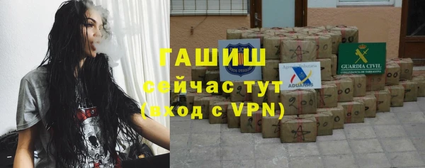 гидра Осинники