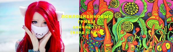 дмт Арсеньев